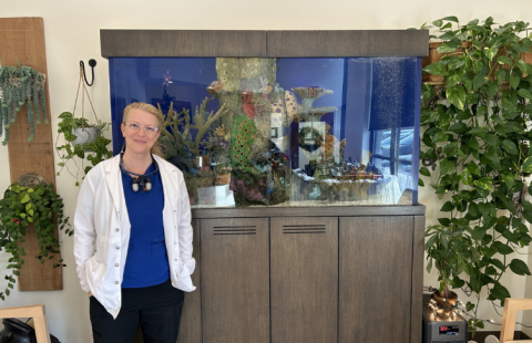Lisa Hilpl ’98 stands in the lobby of Comfort Care Dental, the Mansfield, Mass. practice she opened in 2024.