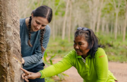 two people looking at a tree and pointing to a cut in the bark