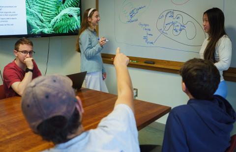 Five students in the Peer Led Team Learning program working together to solve a problem illustrated on a dry erase board