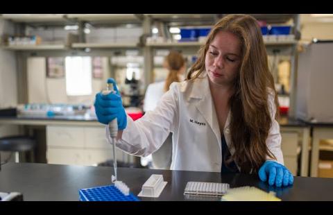 UNH undergraduate student Maggie Hayes conducting working in a lab during her researchon surveying skunk adenovirus-1 (SkAdV-1) in wildlife from the state of Maine.