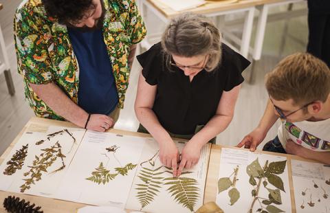 Overhead view of people examining specimens at the Hodgdon Herbarium