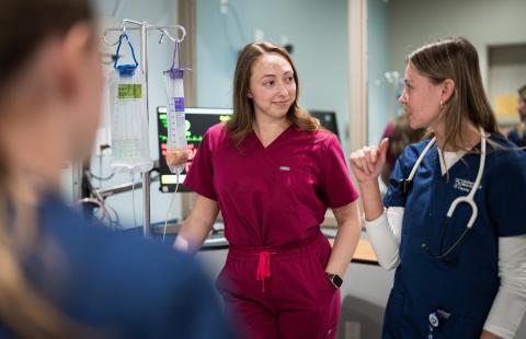 Nursing student discusses a lesson with a supervisor. 