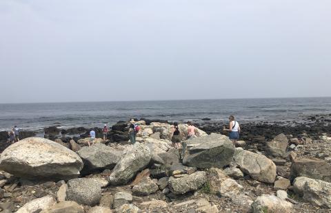Educators in Last Summer's NEH-Funded Workshop Visit Odiorne Point