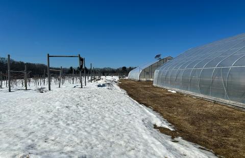 High tunnels at Woodman