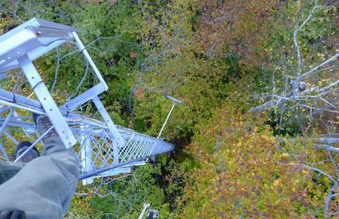 High above Bartlett Experimental Forest