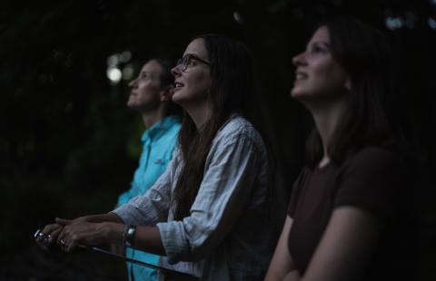 UNH researchers are observing bats at dusk