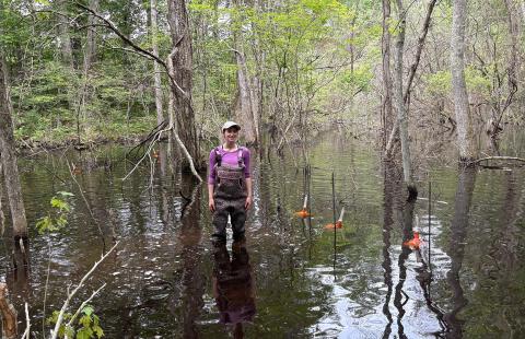 Kylie Short in the new beaver pond at Plum Island