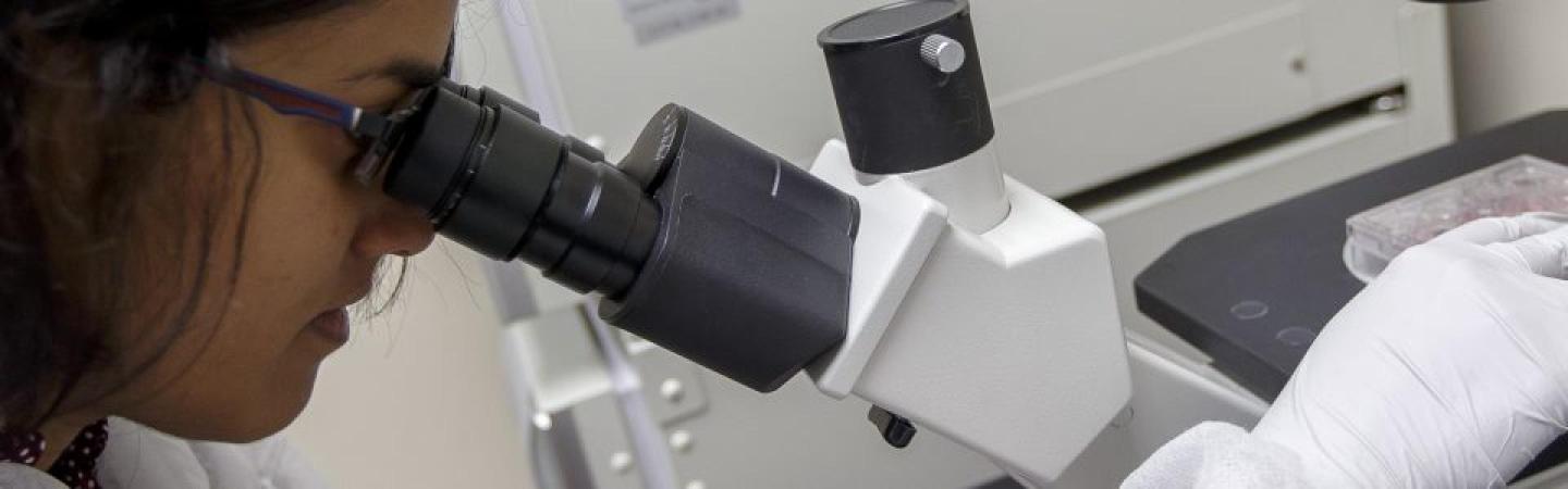 woman looking in a microscope