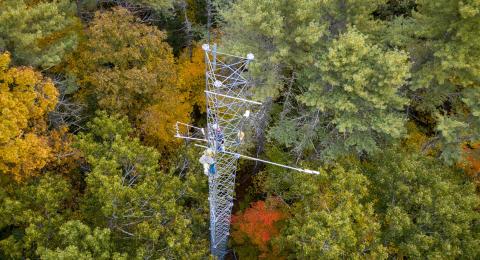 Aerial photo of research tower in a forest