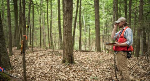 Male wearing orange vest stands in the woods