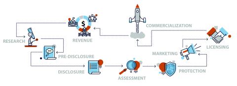 Diagram of the Intellectual Property Commercialization Process