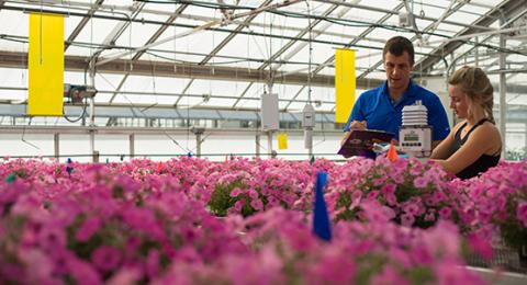 researchers in greenhouse