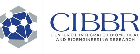 CIBBR logo with networking icon