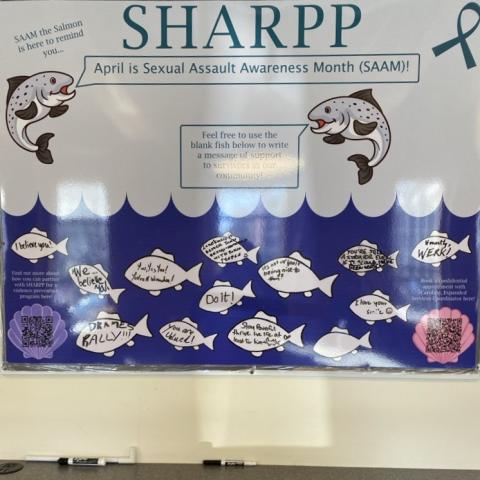 Picture of Bulletin Board for the SHARPP Center at UNH Manchester's Campus depicting an activity used to gather support for survivors during Sexual Assault Awareness Month