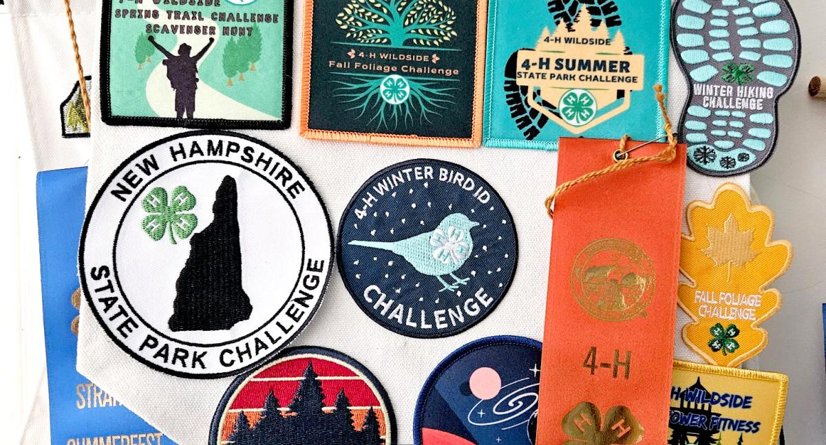 A display of Wildside patches and 4-H ribbons