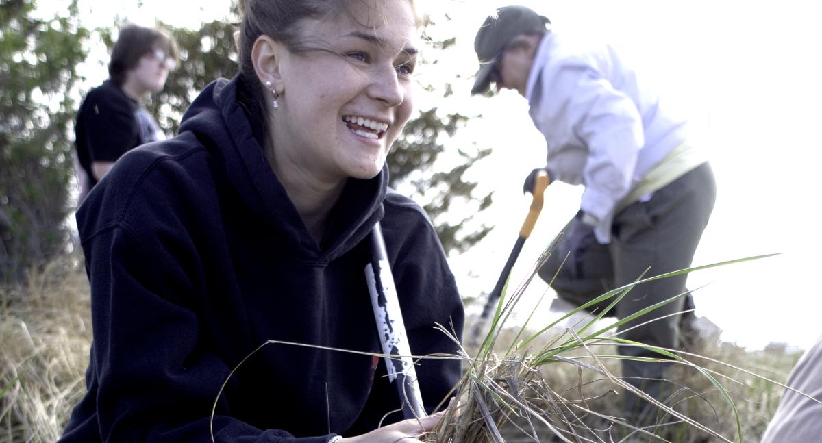 A woman holds a clump of beachgrass while squatting with a shovel