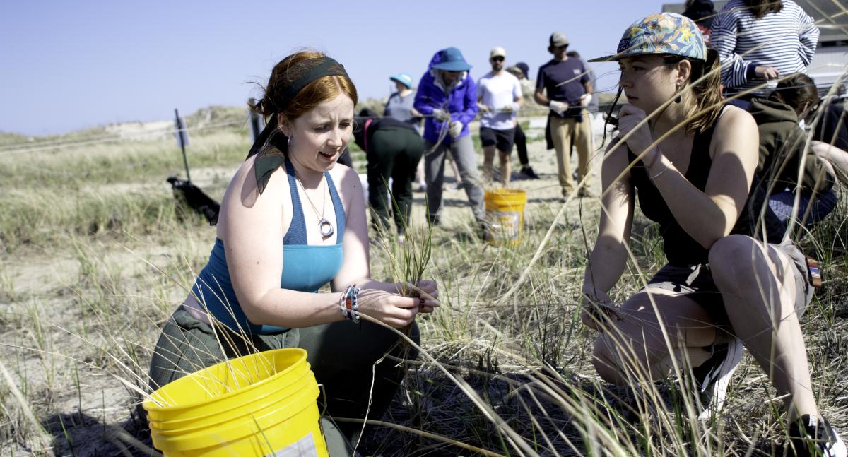 Two women talk while one of them examines a clump of beachgrass