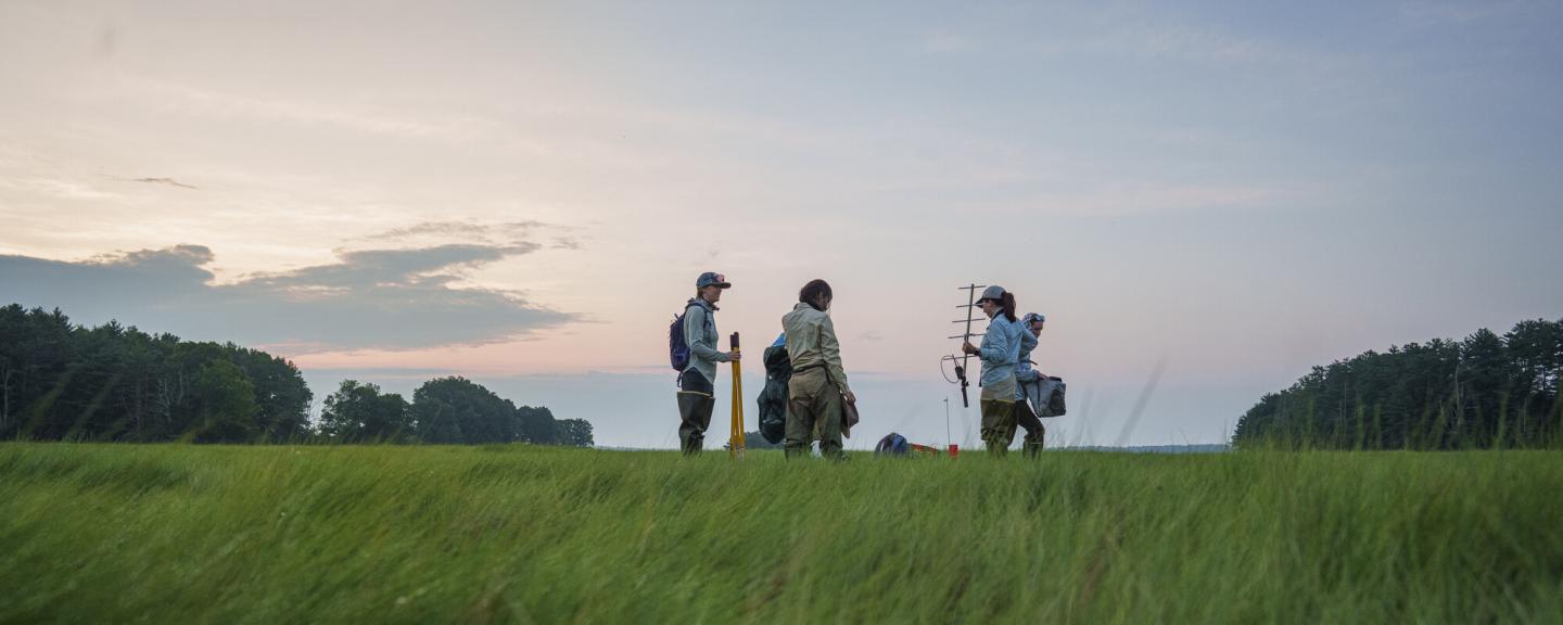 A group of researchers stand in a field of tall grass