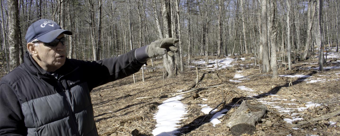 A man gestures towards trees in a woodlot