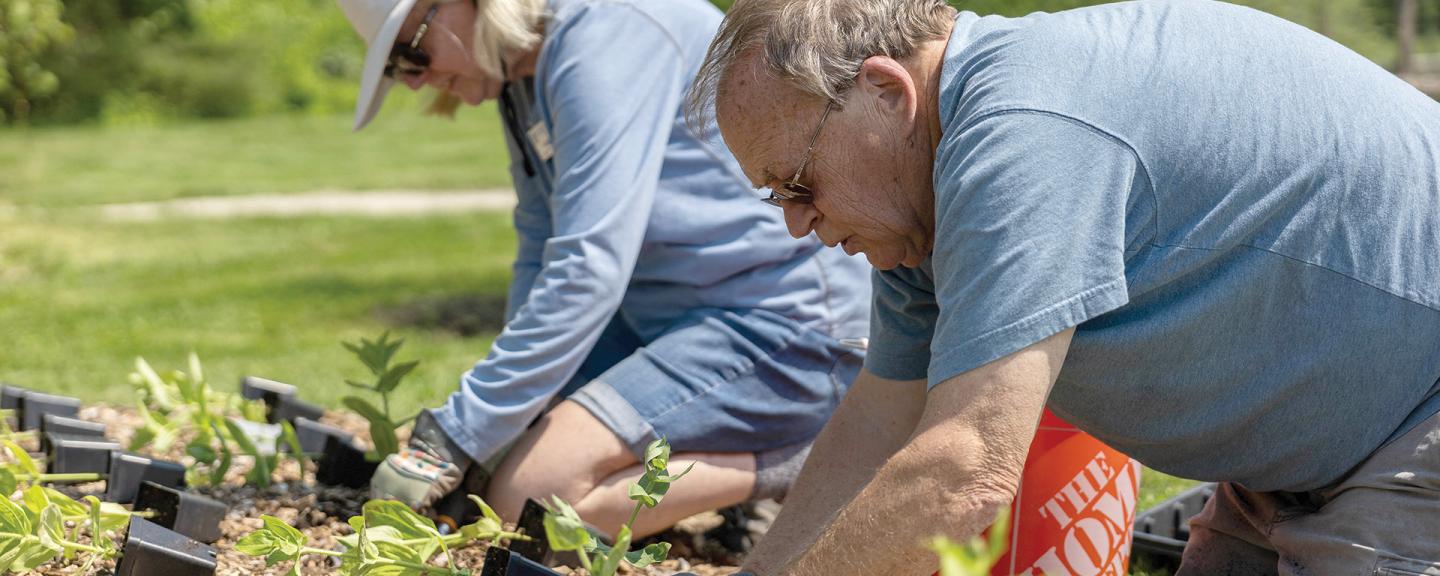 Two people plant seedlings in a garden