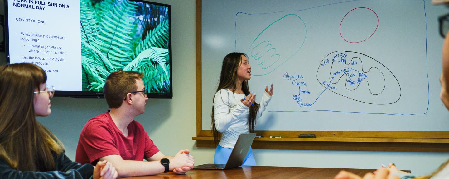 Students in the Peer Led Team Learning program work together to solve a problem written on a dry erase board