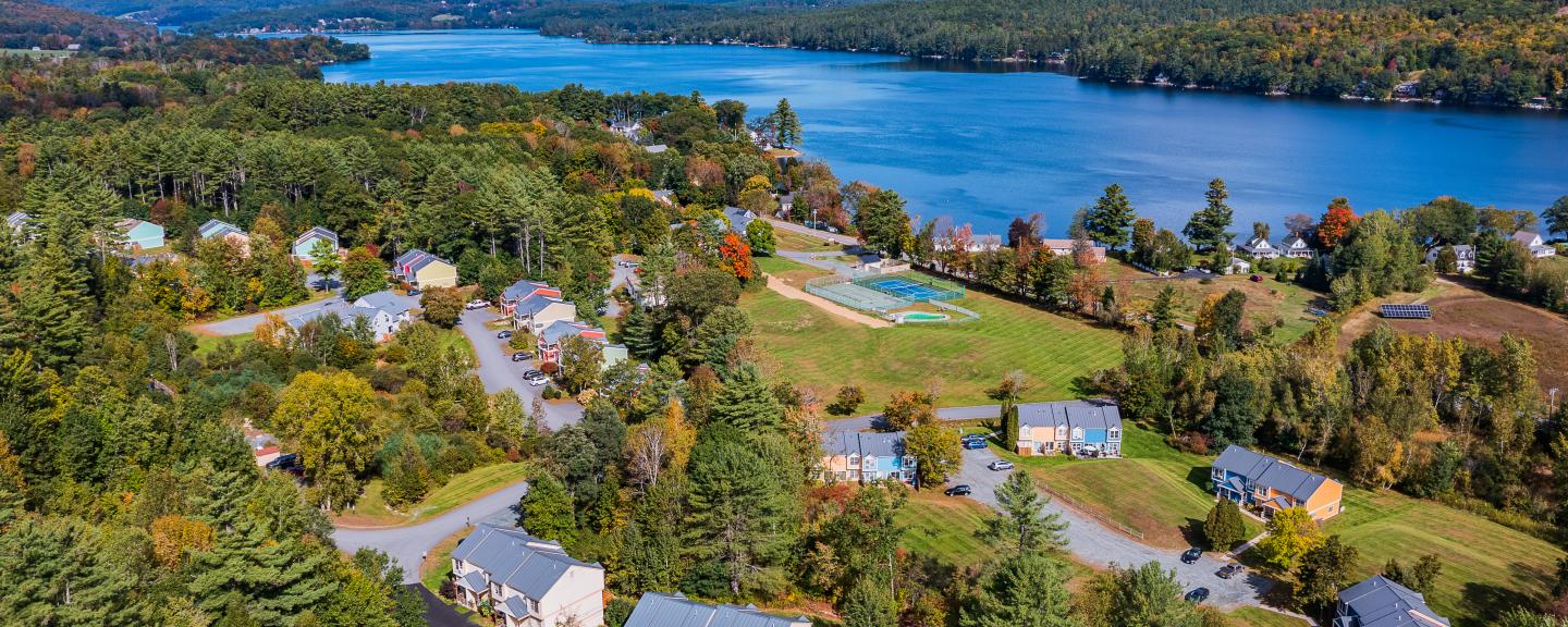 Aerial view of a lakeside neighborhood