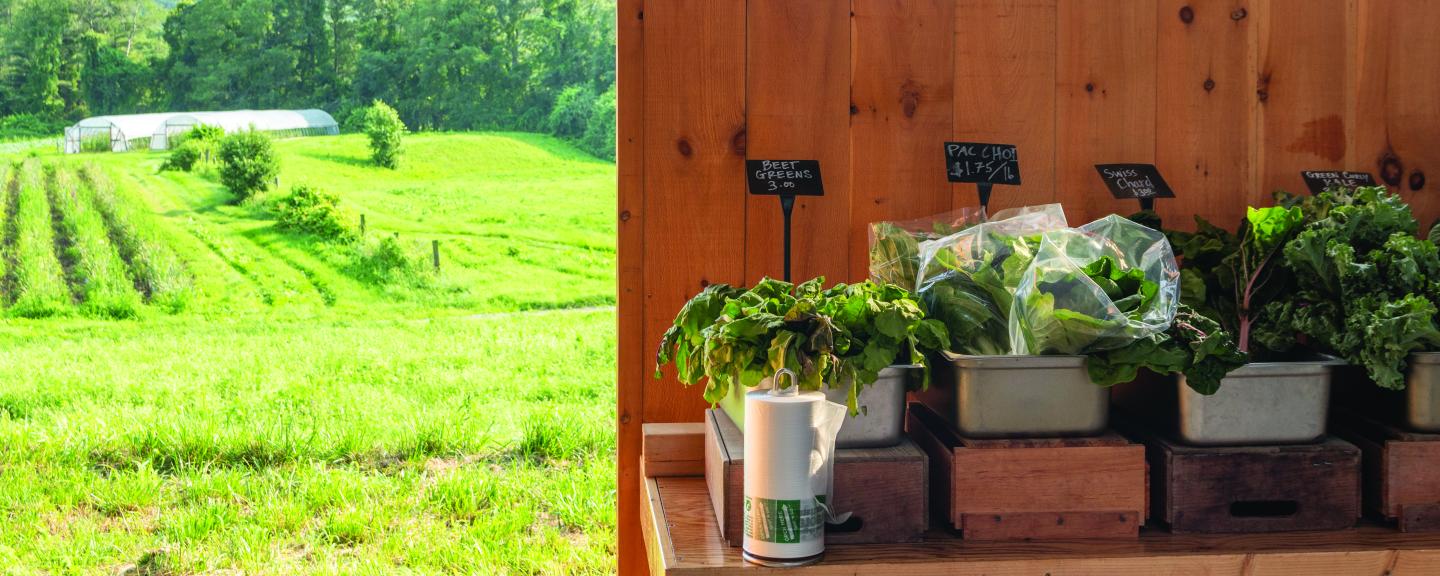Fresh leafy greens are arranged in a farm stand