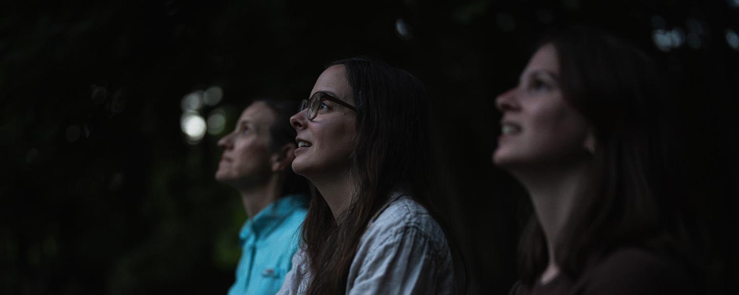 UNH researchers are observing bats at dusk