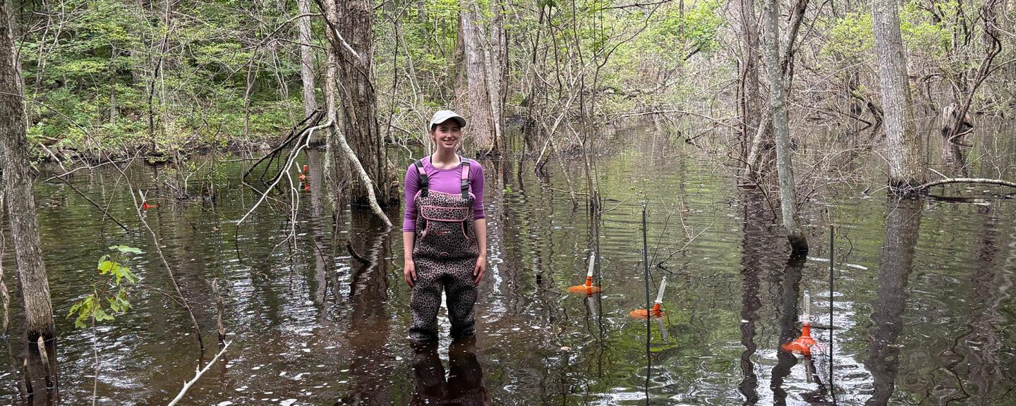Kylie Short in the new beaver pond at Plum Island