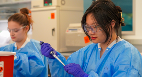 Students working on blood samples in a lab