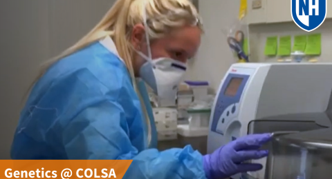 A thumbnail of a UNH employee working in a genetics lab