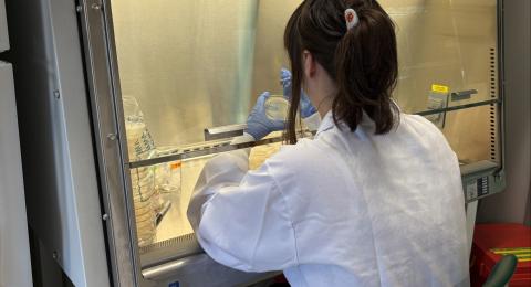 UNH student Lillian Walsh