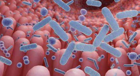 Illustration of gut microbes