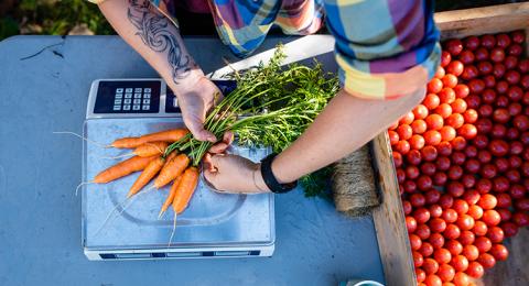 overhead image of carrots being placed on a scale