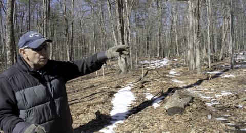 A man gestures towards trees in a woodlot