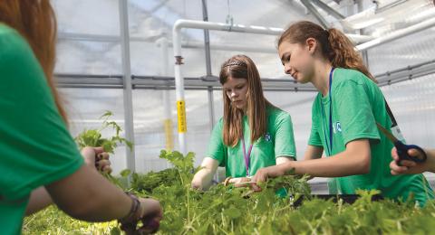 A group of girls work with plants in a greenhouse