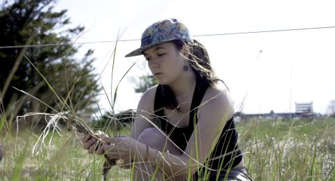 A woman squats while examining beachgrass