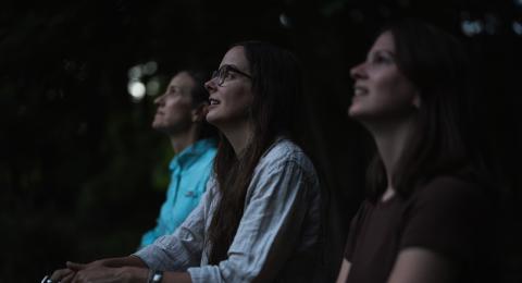 UNH researchers are observing bats at dusk