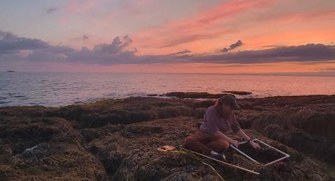 Melanie Carolan works along the shore in front of a pink sky