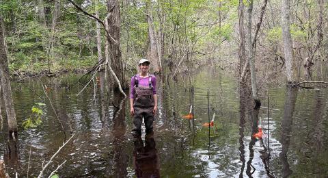 Kylie Short in the new beaver pond at Plum Island