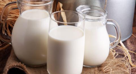 Dairy products 