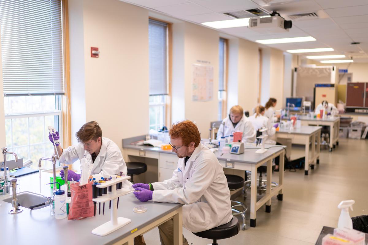 Students in lab coasts working in a laboratory