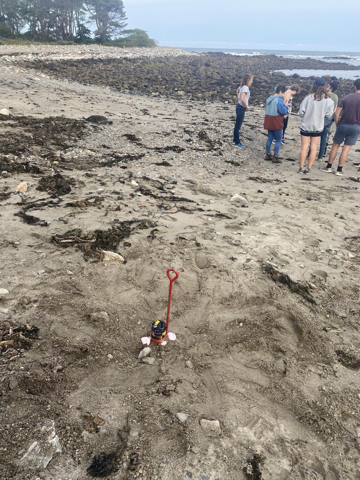 Conducting research at the beach