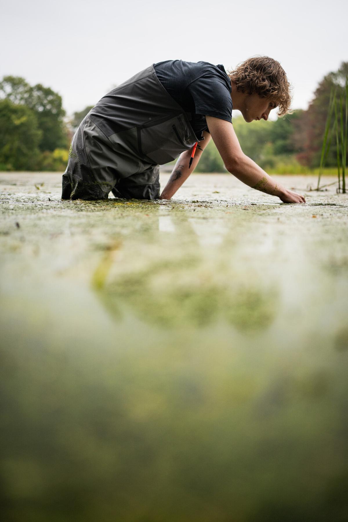 Aquatic Plants in Restoration and Management class outdoors in the field