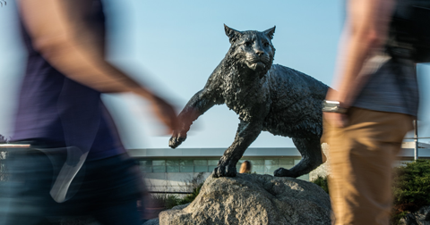 Wildcat statue 