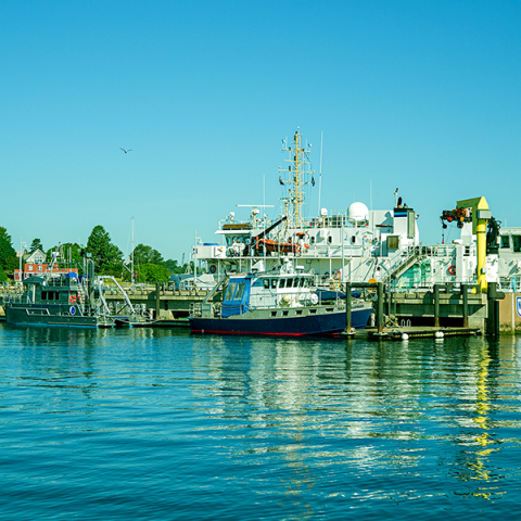 boats in a harbor