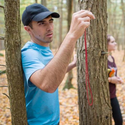 UNH student working on research project in the woods