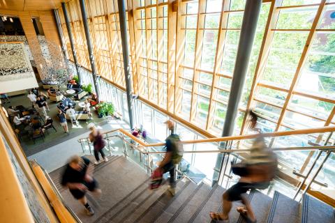 Students walking down a staircase inside the Great Hall 