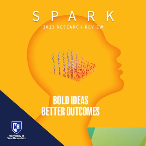 Yellow illustration of head in profile with words SPARK 2023 Research Review