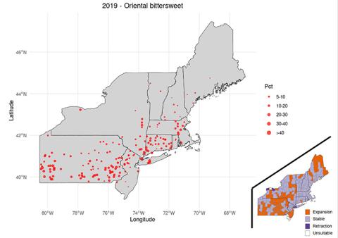 map of distribution of oriental bittersweet in northeast